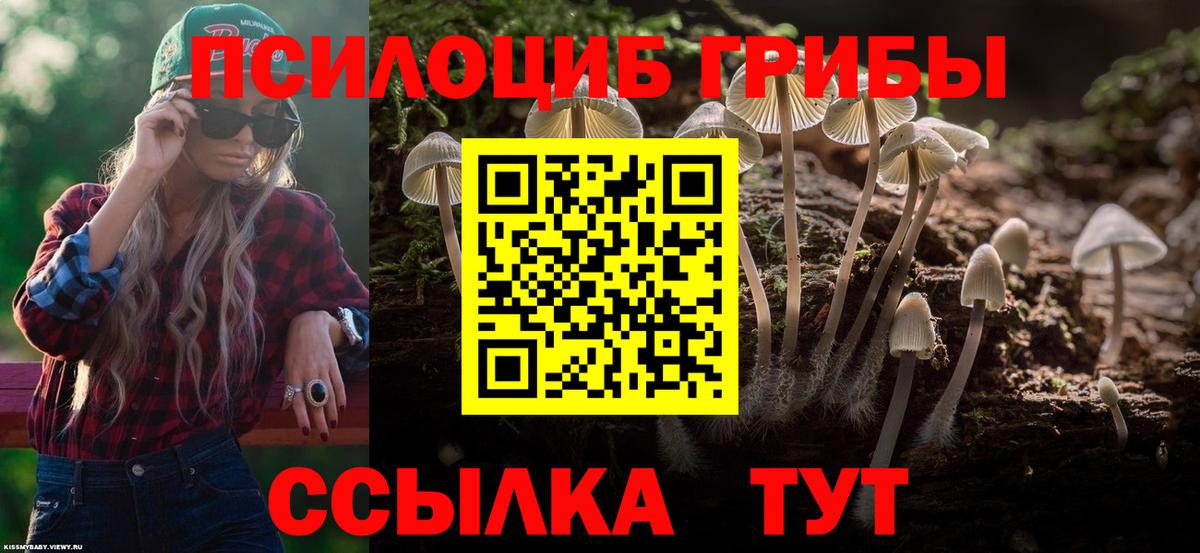 Лиски  Галлюциногенные грибы Psilocybe  Вход с VPN 